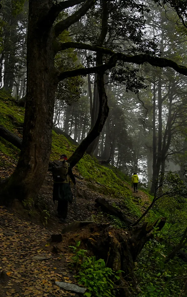 Chandrakhani Pass Trek